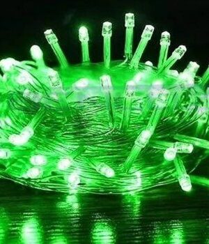 Pisca Pisca Led Verde 100 Leds 9 Metros 110V Função